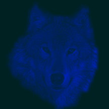 bluewolflighter.jpg (4980 bytes)